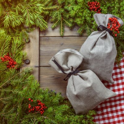 Two Gray Bags Surrounded by Green Leaves