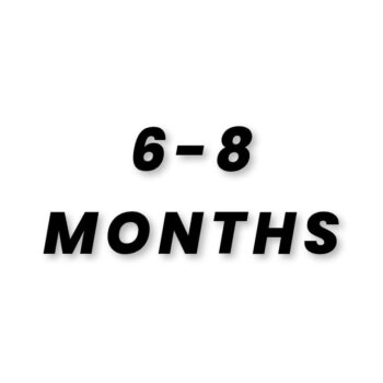 6-8 MONTHS