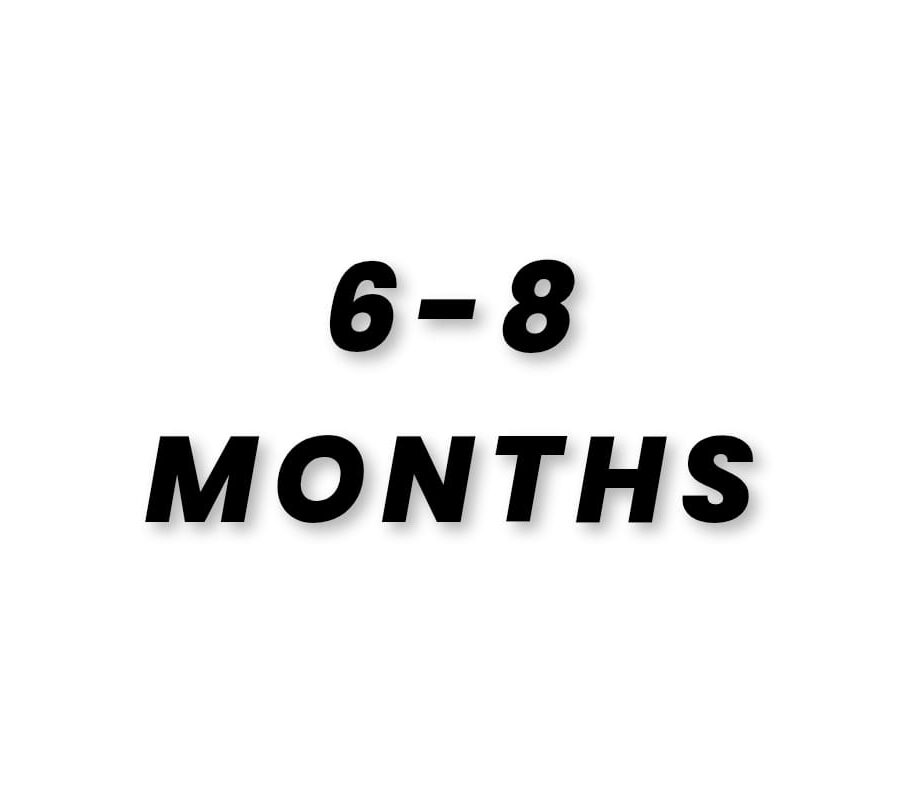 6-8 MONTHS